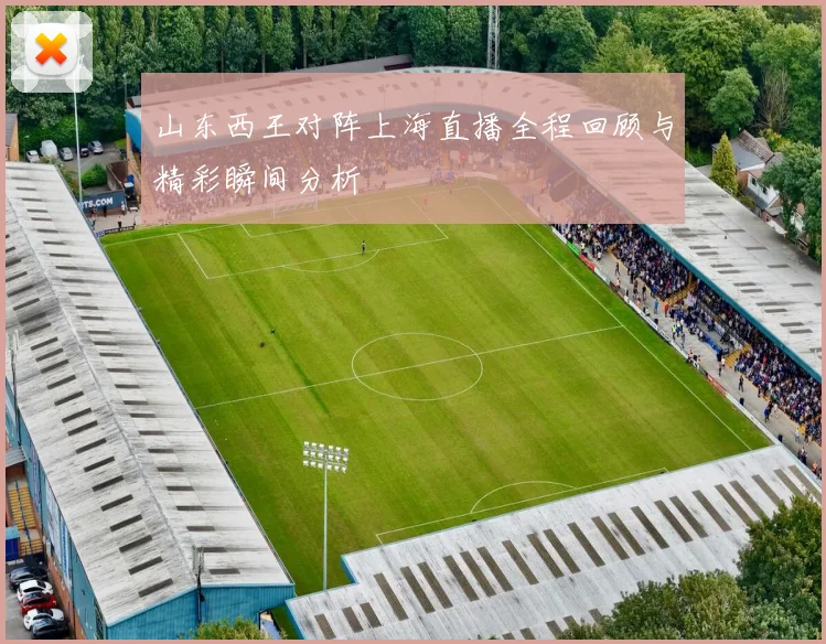 山东西王对阵上海直播全程回顾与精彩瞬间分析