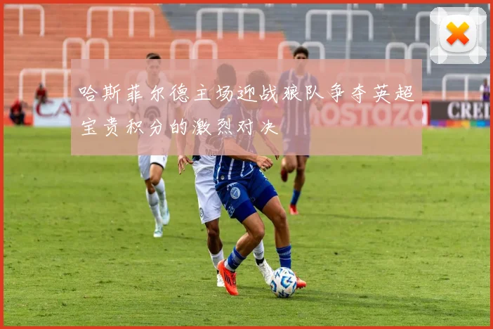 哈斯菲尔德主场迎战狼队争夺英超宝贵积分的激烈对决