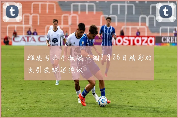 雄鹿与公牛激战正酣2月26日精彩对决引发球迷热议