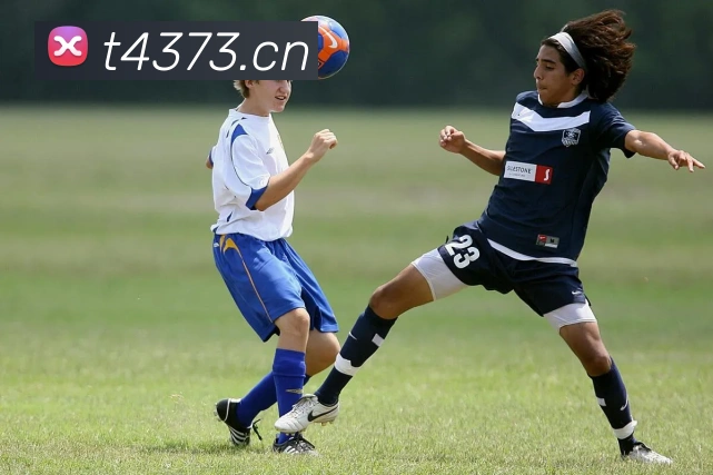 678体育平台生态图