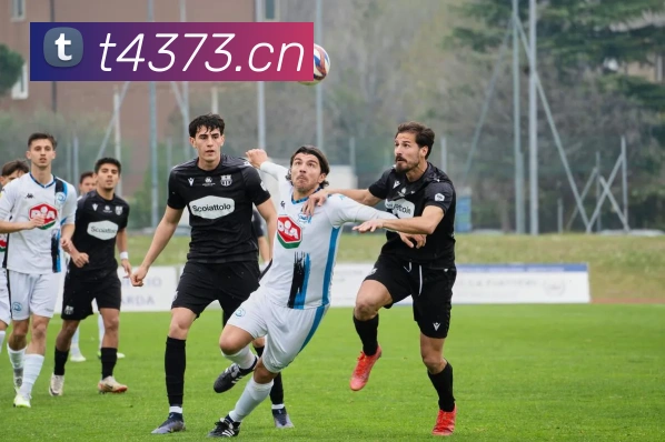 678体育APP 封面图